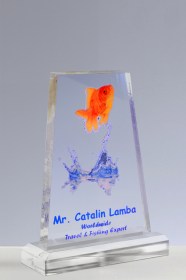 Trofee Personalizate TU 20